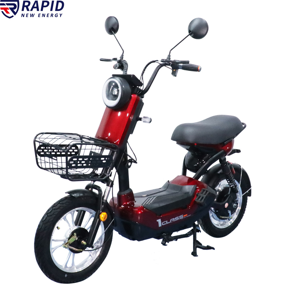 YTYIN Bicicletta Elettrica Eco - Electric Scooter Adults recensione e prezzo
