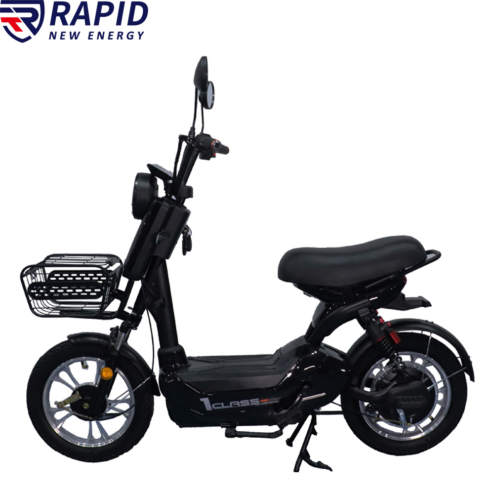 YTYIN Bicicletta Elettrica Eco - Electric Scooter Adults recensione e prezzo
