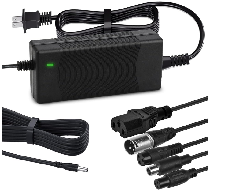 Caricabatterie per Scooter Ele - Electric Scooter Charger recensione e prezzo